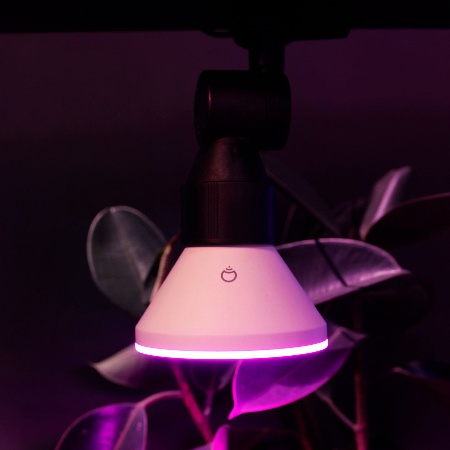 PAR38 Flood Light E27