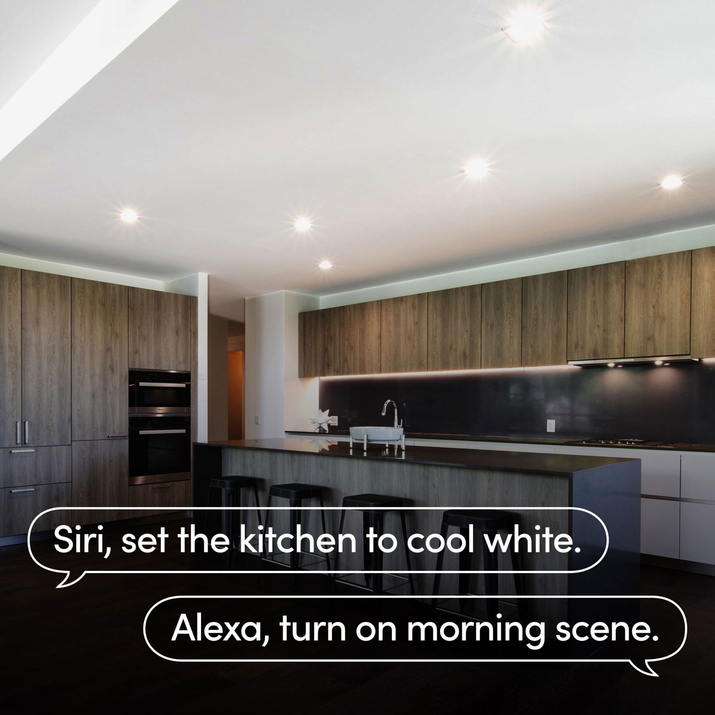 Flush Downlight
