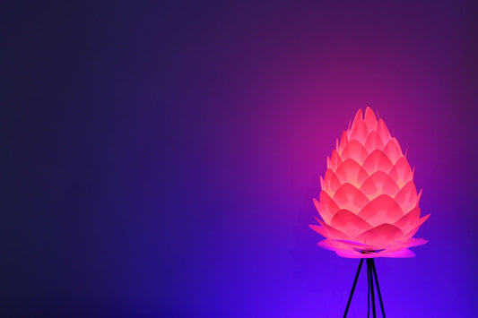 LIFX in Bloom